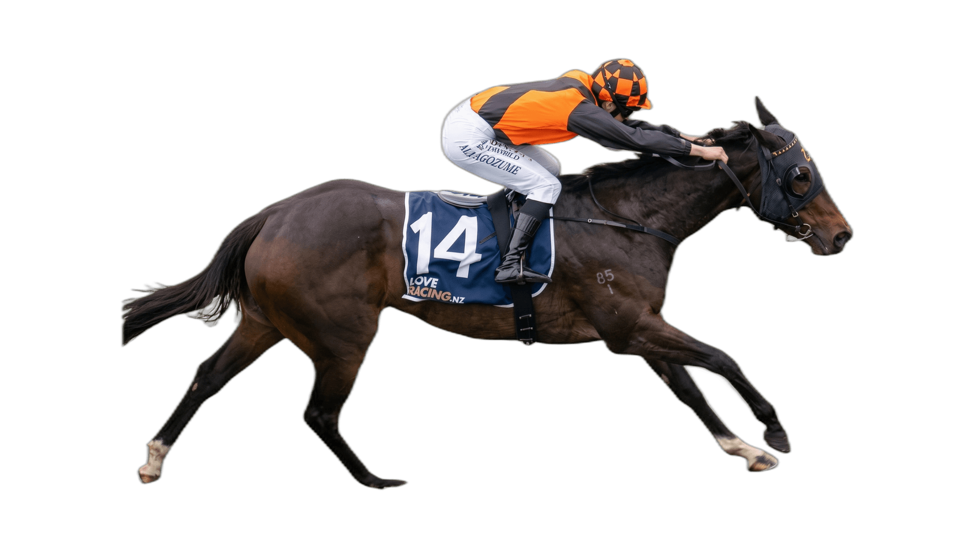 Prudentia (NZ)