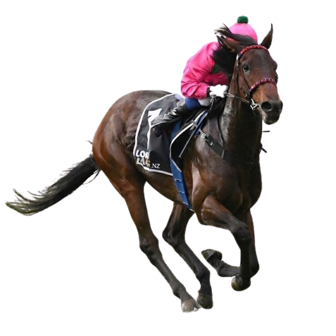 First Gear Set for Otaki Return