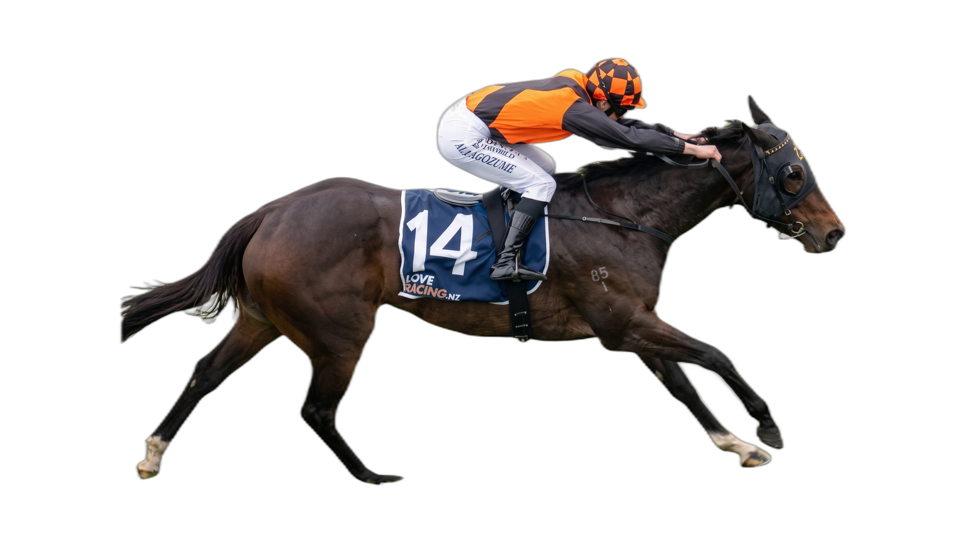 Prudentia (NZ)