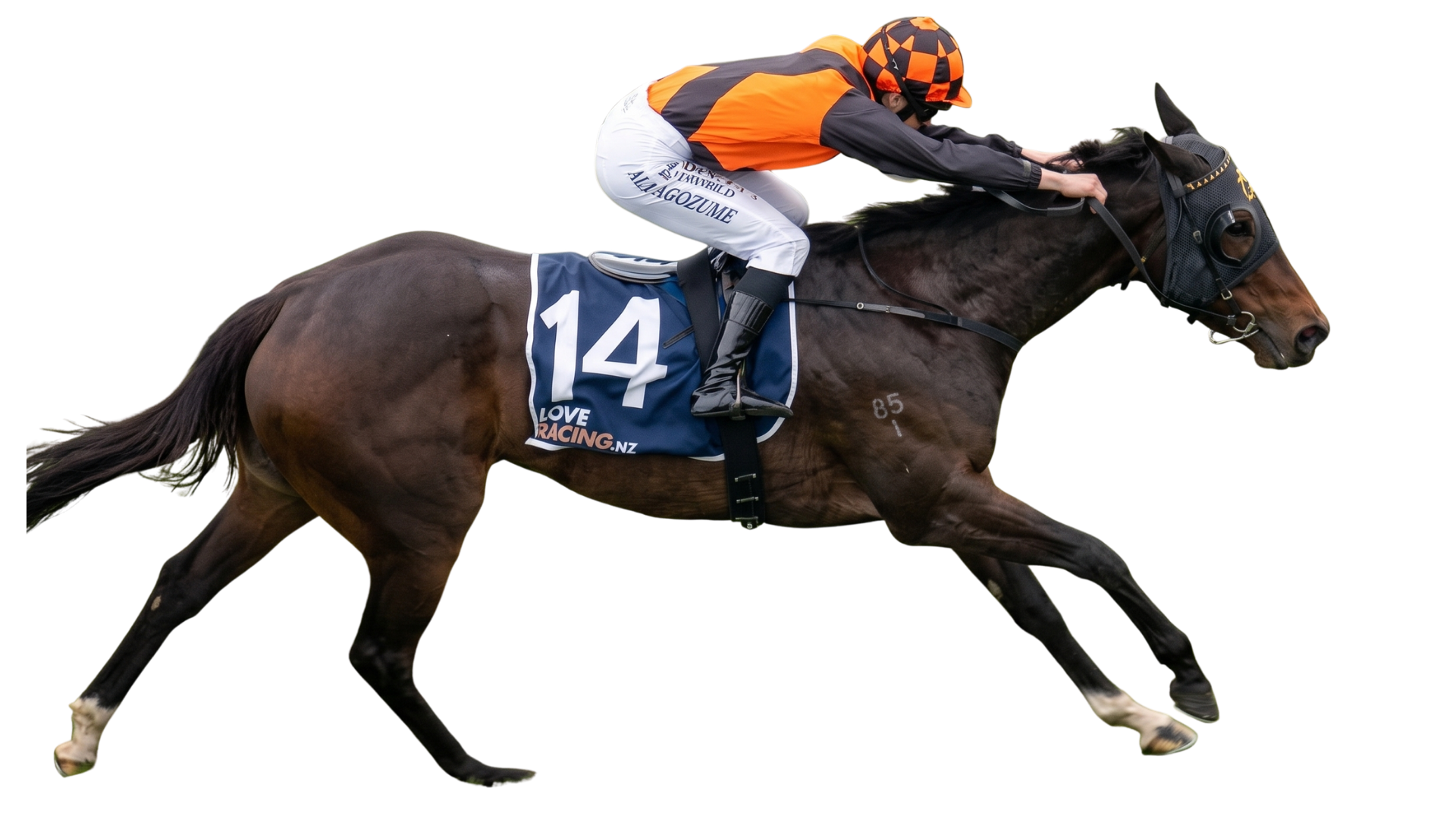 Team Evolution: The People Behind the Thoroughbreds